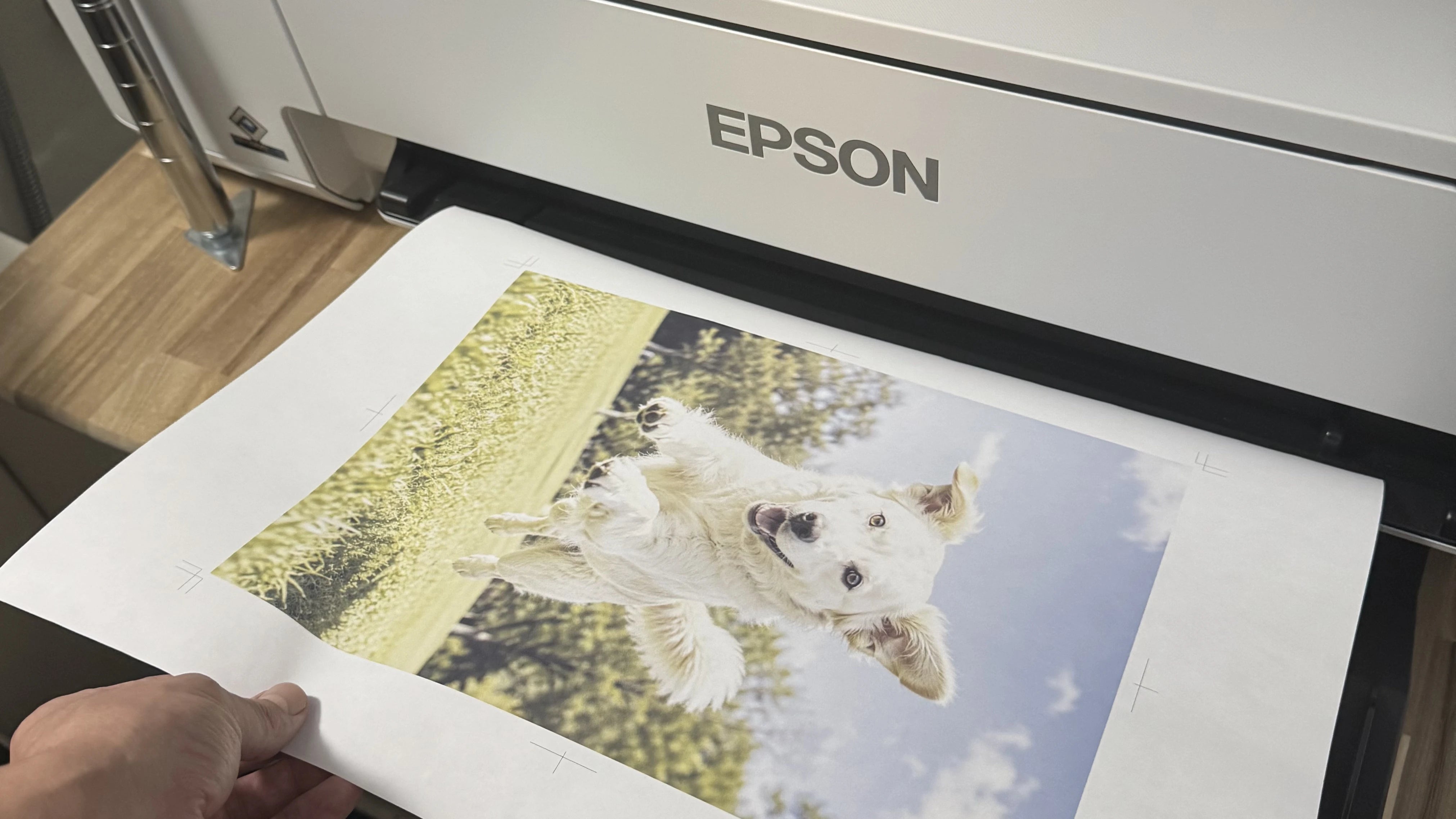 専用転写紙へペット写真を印刷する工程