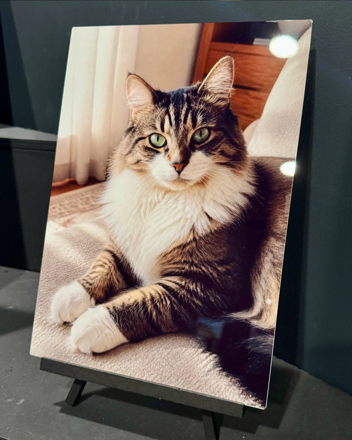 ホワイトアルミへ転写された写真