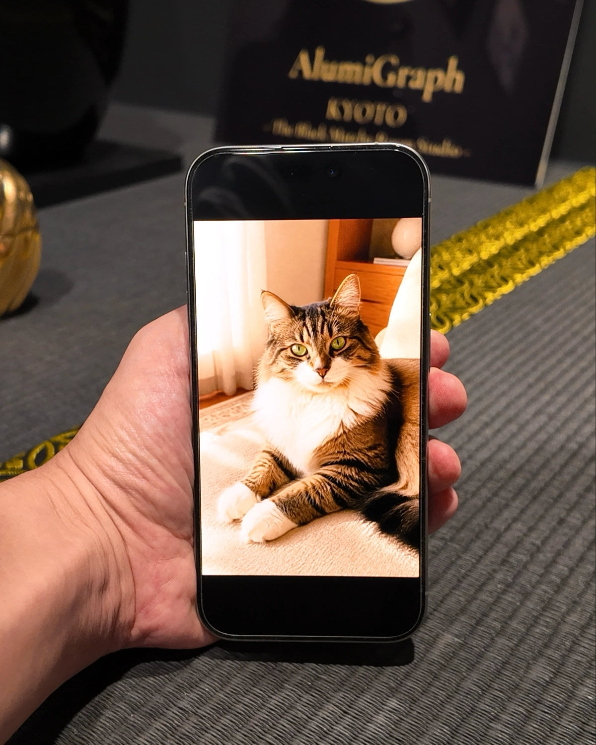 メタルアートに仕立てる前の写真